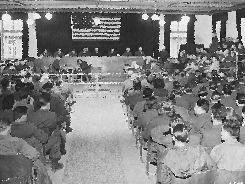 איור עריכתי על בתי המשפט, ביקורת שיפוטית ושלטון החוק בישראל