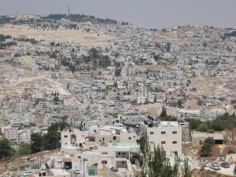 תמונה עריכתית: הורות עם מוגבלות בפסקי דין בישראל